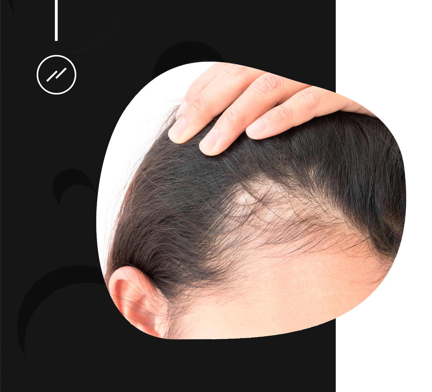 hair-skin-system-image